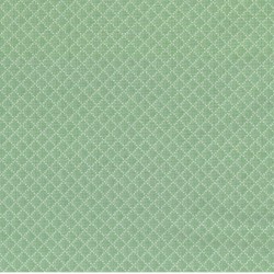 Tissu imprimé vert motifs...
