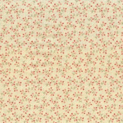 imprime creme primrose D525-CE