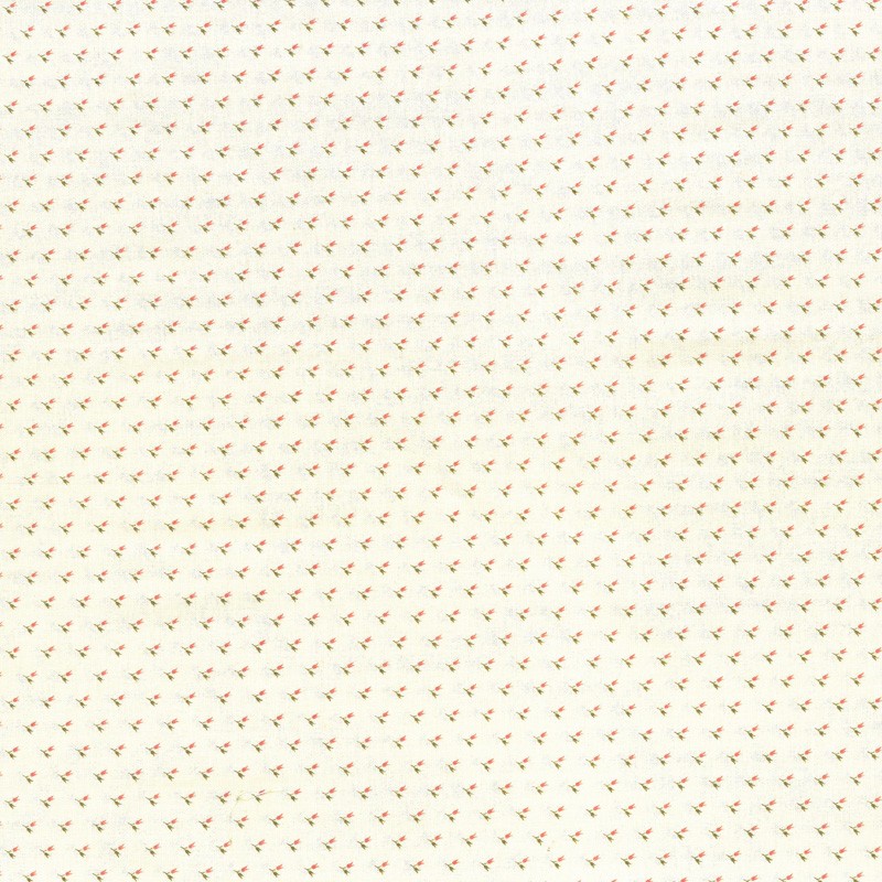 imprime creme primrose D526-CL