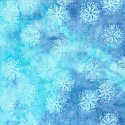 TT TONGA B6169 ICE